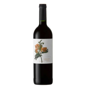 Big Flower Cab Franc Cabernet South Africa 2022